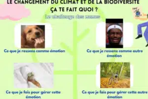 Image memes Retouchee