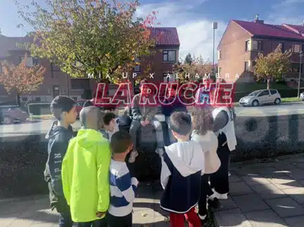 Film 26 Les Minizapis