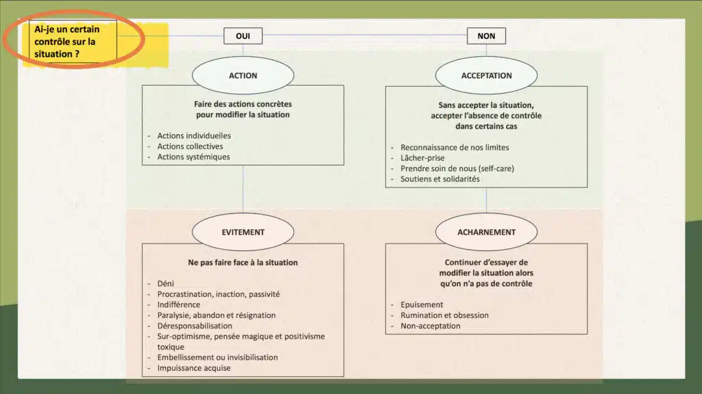 Eco anxiété Schéma présentant les visages de l’éco-anxiété. Editions Ecosociété.